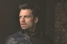 The Falcon and the Winter Soldier Bucky - Sebastian Stan