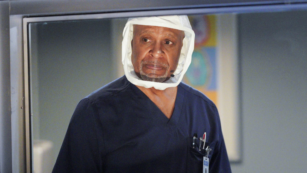 James Pickens Jr., Grey's Anatomy