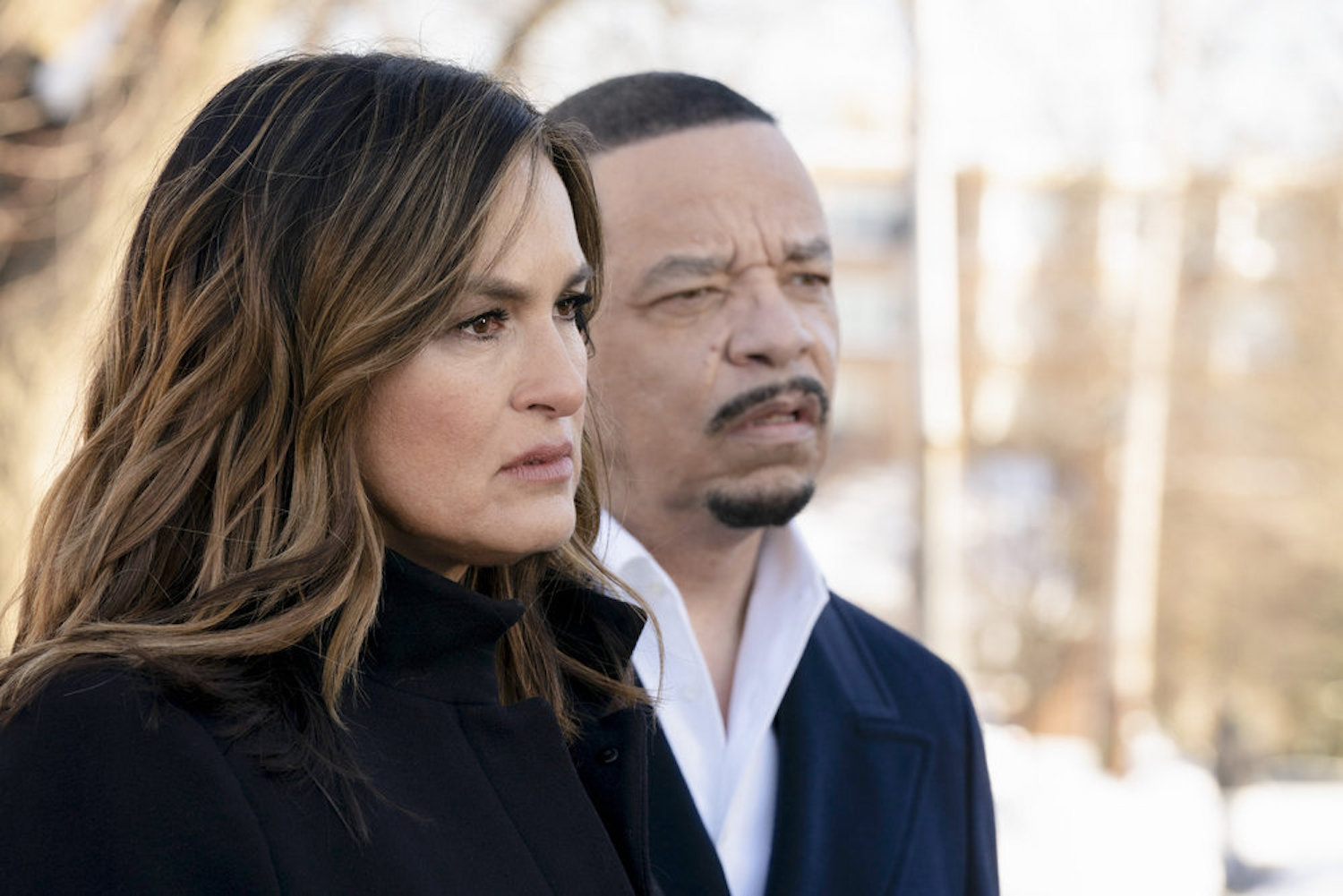 Benson Fin Law Order SVU Season 22