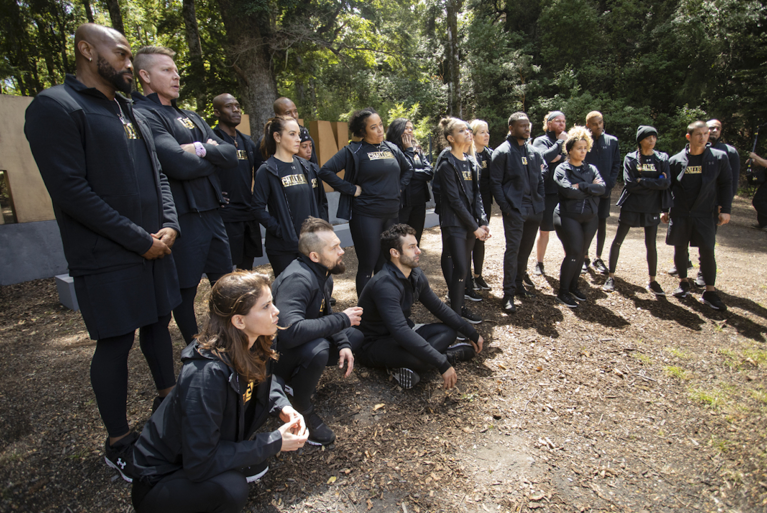 The Challenge All Stars Cast Teams