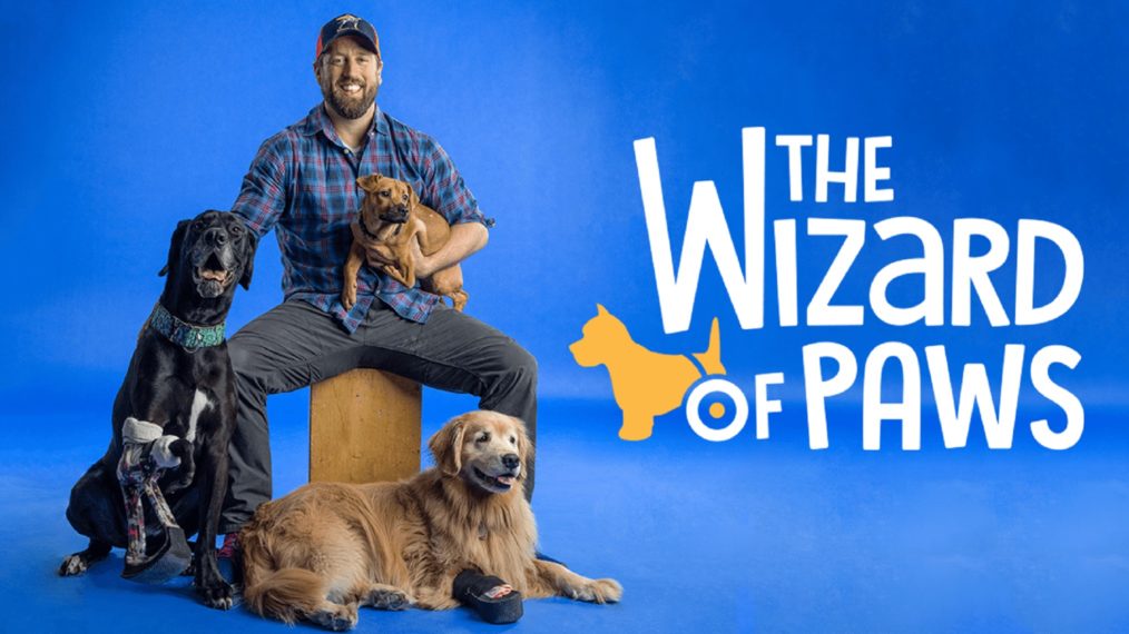 the wizard of paws byutv 