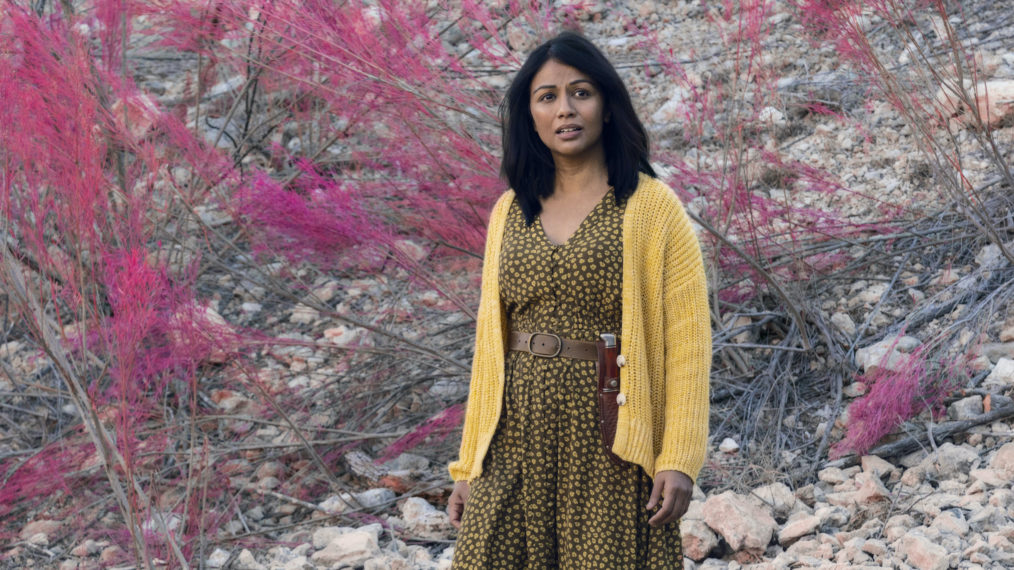 Karen David as Grace - Fear the Walking Dead