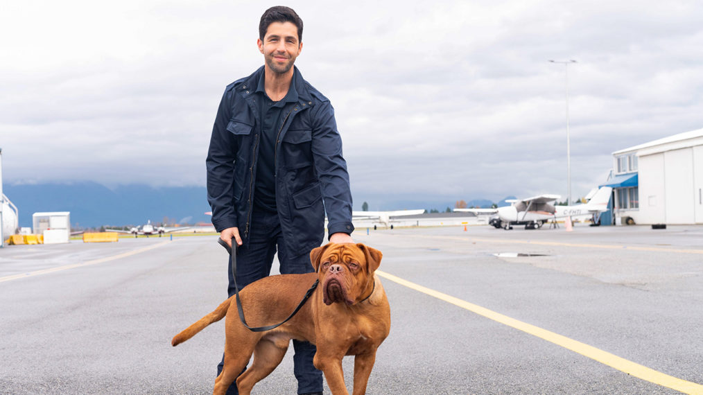 turner & hooch josh peck disney+