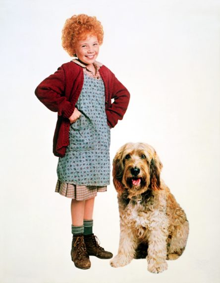 Annie 1982 sandy aileen quinn 