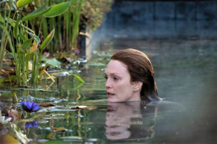Lisey's Story - Julianne Moore
