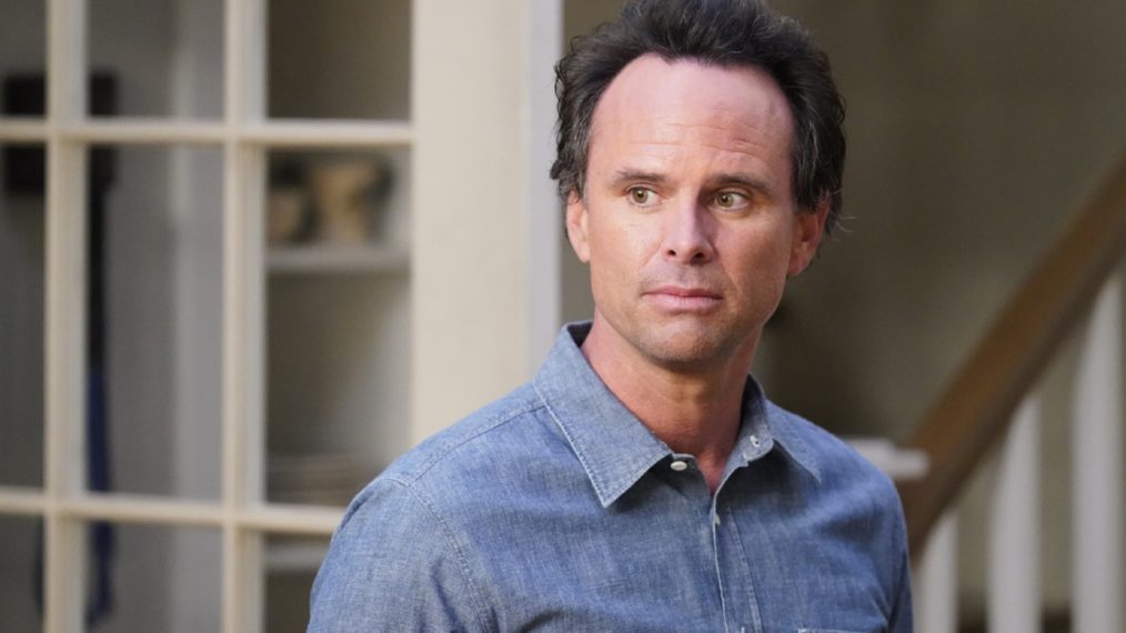 The Unicorn - Walton Goggins