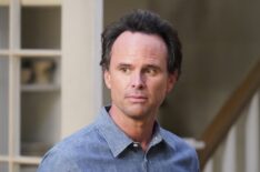 The Unicorn - Walton Goggins