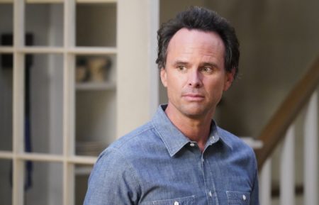 The Unicorn - Walton Goggins