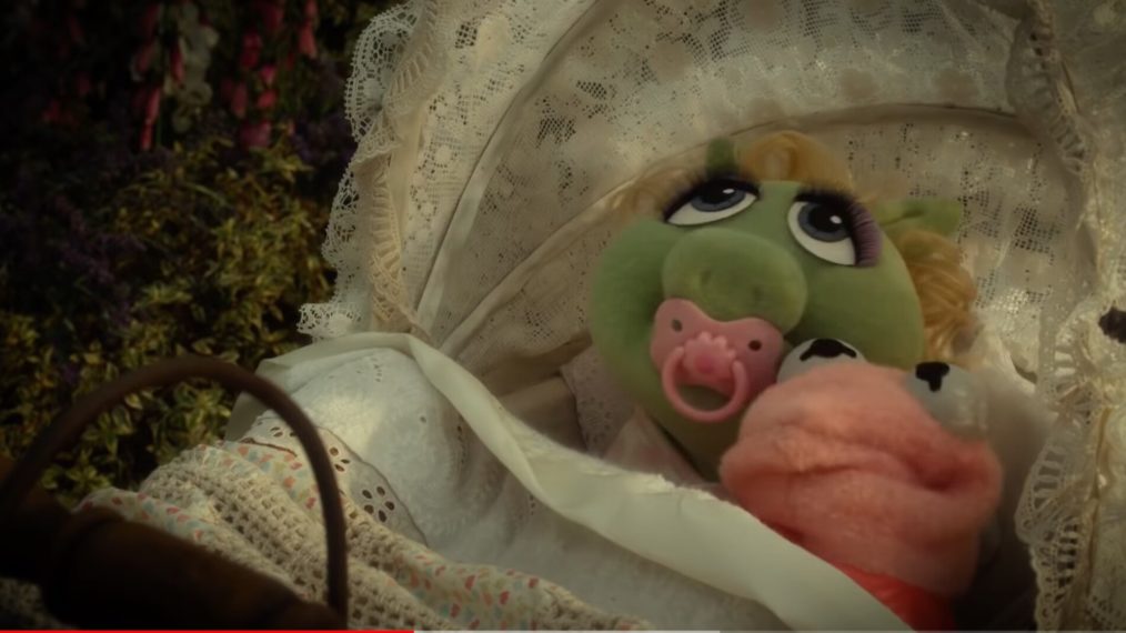 Muppets Most Wanted Something so Right Green Pig Pink Frog