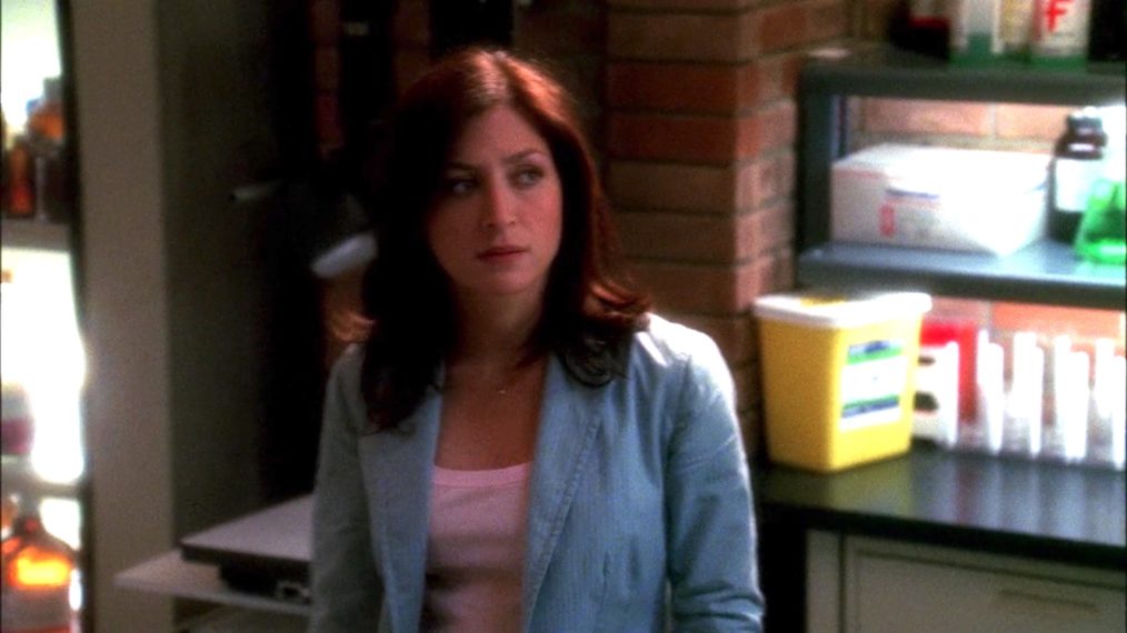 Sasha Alexander as Kate Todd on NCIS