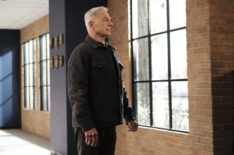 When Will Gibbs Return to 'NCIS' in Season 19? (POLL)