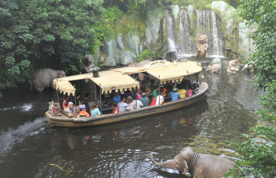 Behind the Attraction