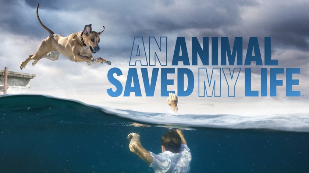 An Animal Saved My Life