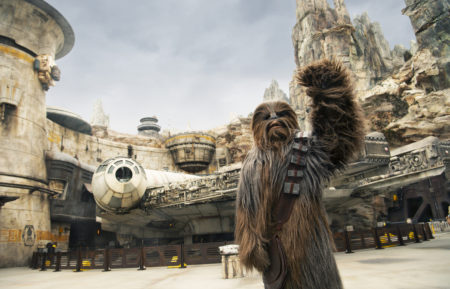 Behind The Attraction, Chewbacca