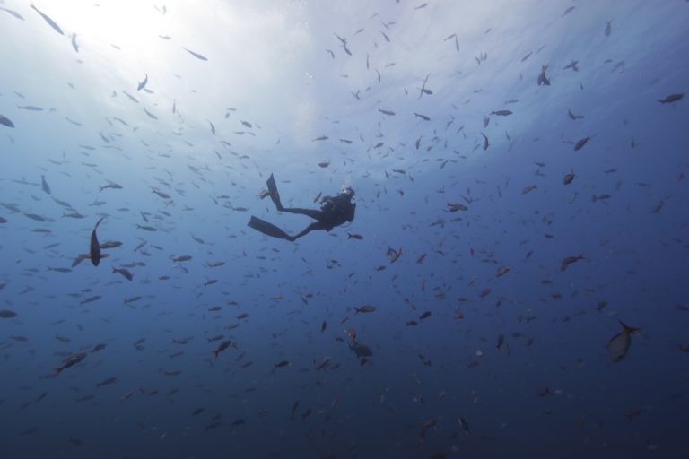 Forrest Galante on Venturing to Alaska and Mexico for Shark Week