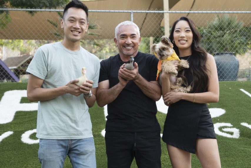 Cesar Millan