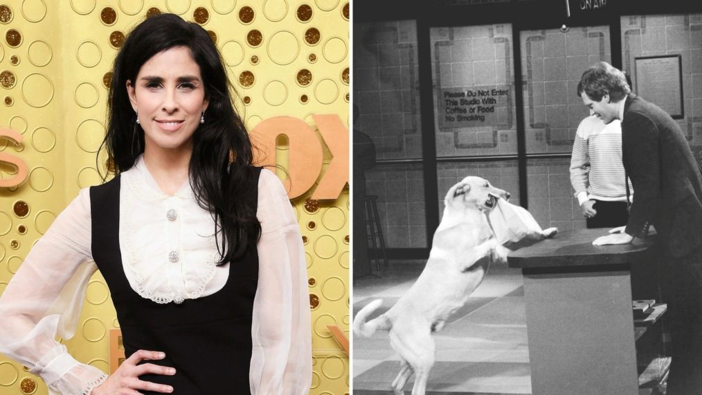 Sarah Silverman David Letterman Stupid Pet Tricks