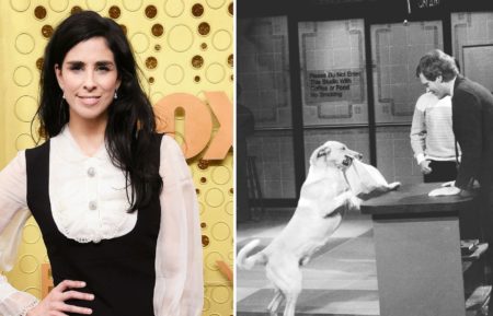 Sarah Silverman David Letterman Stupid Pet Tricks