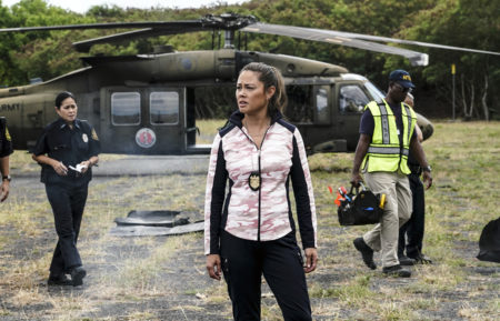'NCIS: Hawai'i' Star Vanessa Lachey