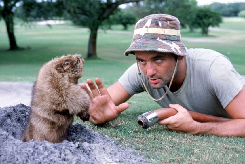 Caddyshack Bill Murray 