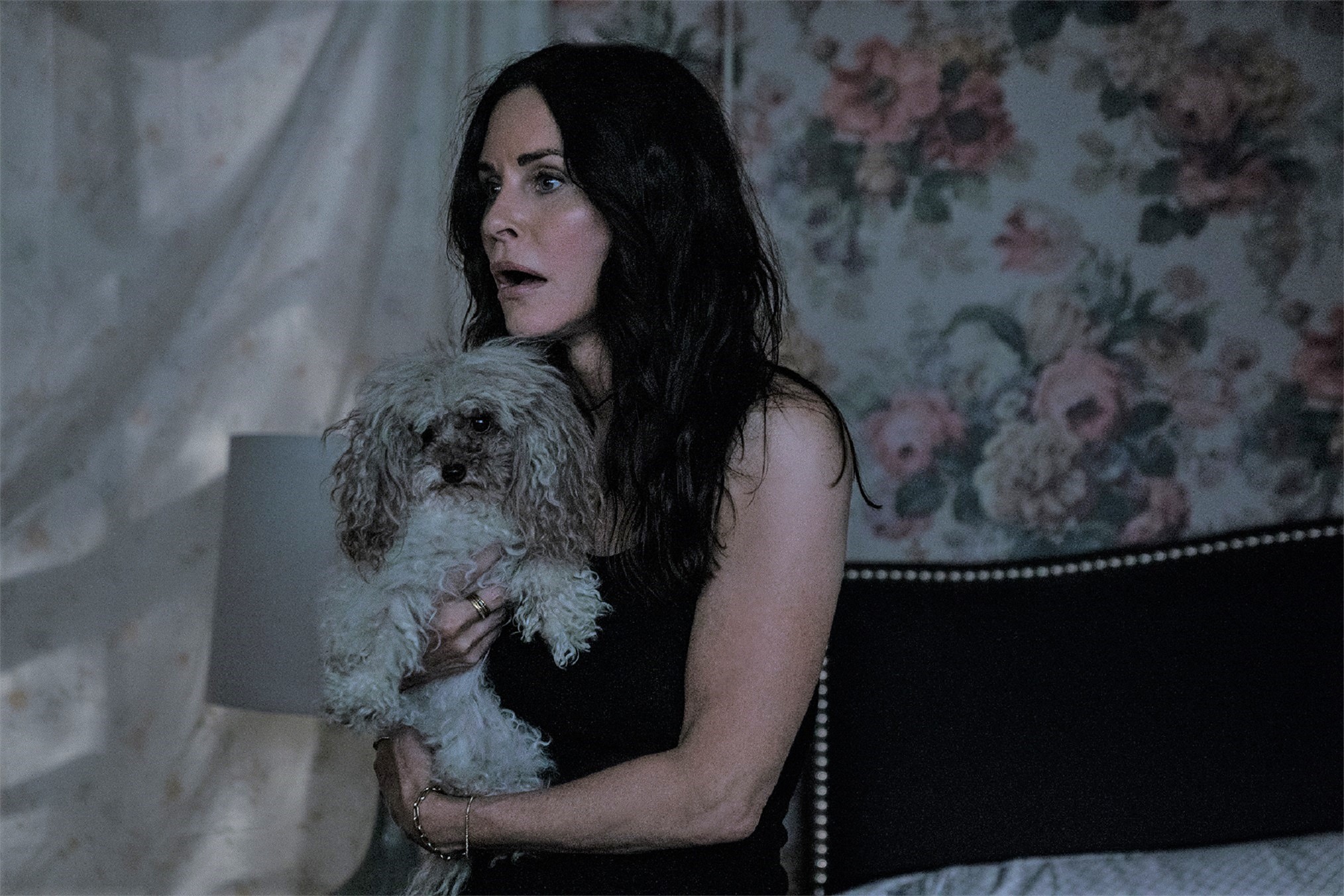 Shining Vale': Courteney Cox, Greg Kinnear & Mira Sorvino Get Spooky in a  First Look