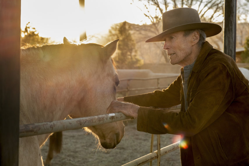 'Cry Macho,' HBO Max, Clint Eastwood as Miko