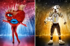 'The Masked Singer' Season 6: All the New Costumes Revealed So Far (PHOTOS)
