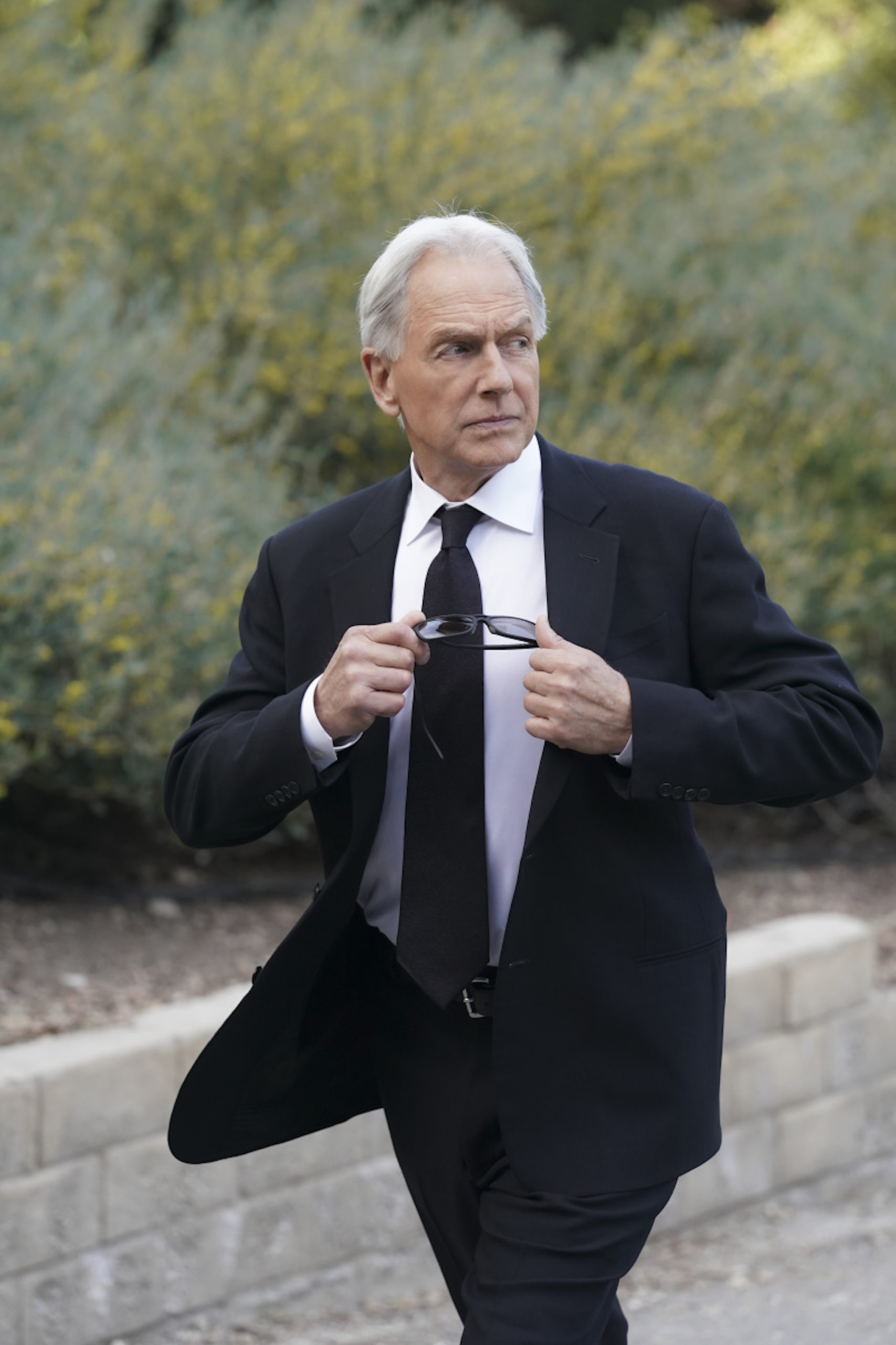 Mark Harmon as Leroy Jethro Gibbs in NCIS