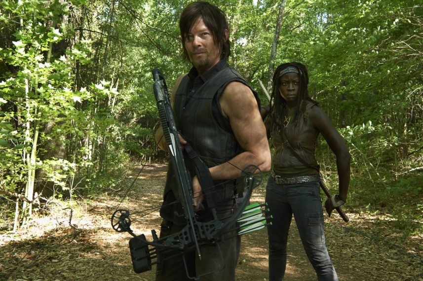 the walking dead daryl michonne 