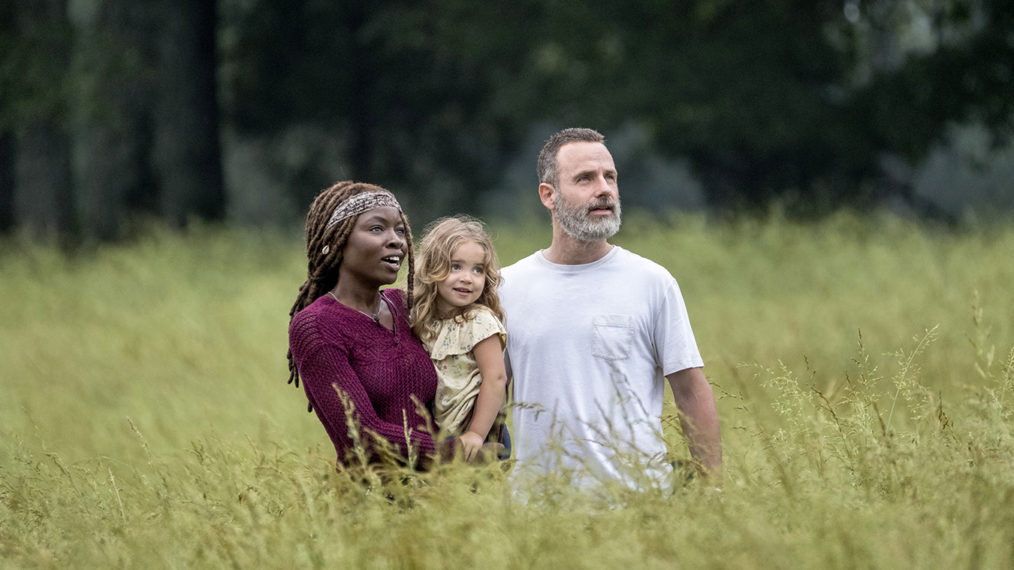 Andrew Lincoln as Rick Grimes, Danai Gurira as Michonne in The Walking Dead