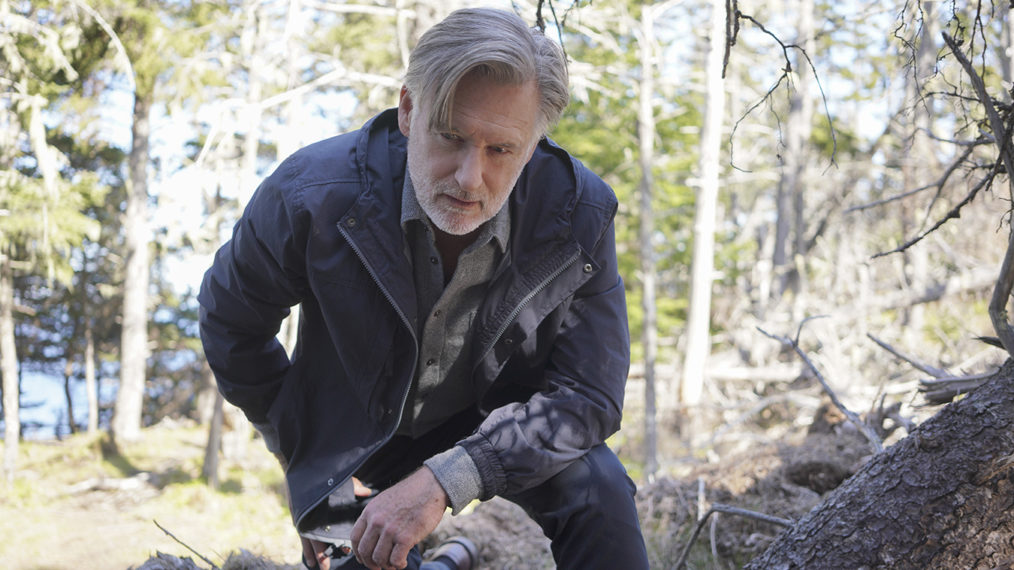 Bill Pullman as Harry Ambrose in The Sinner