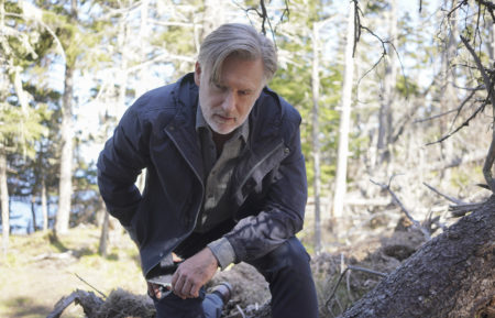 Bill Pullman as Harry Ambrose in The Sinner - Season 4