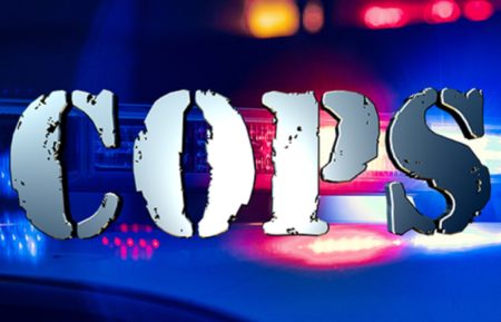 Cops Season 33 Fox Nation