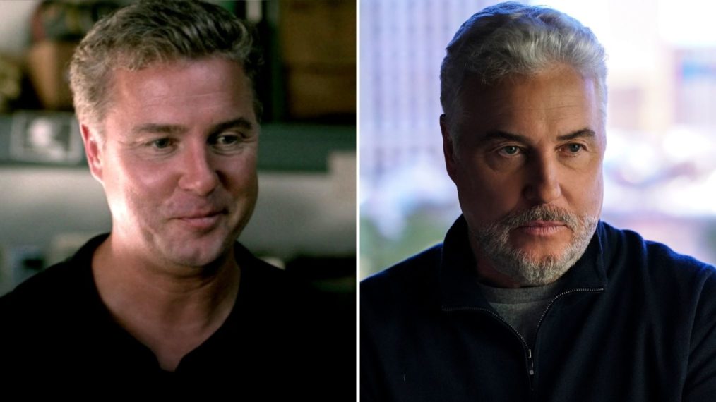 William Petersen, CSI, CSI: Vegas