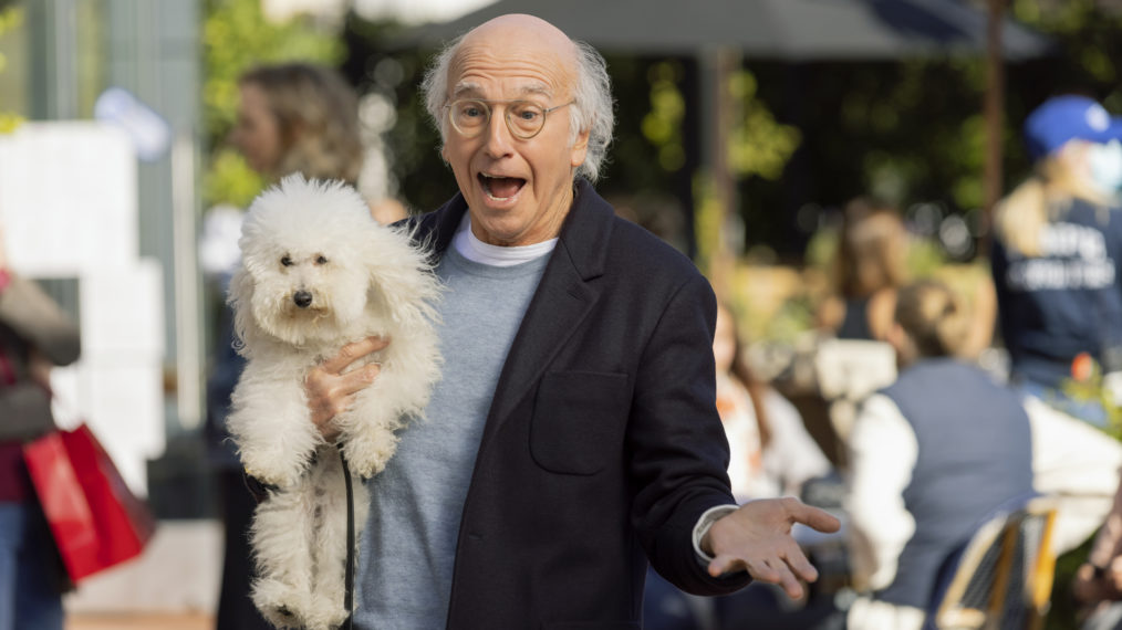 Curb Your Enthusiasm Season 11 Larry David