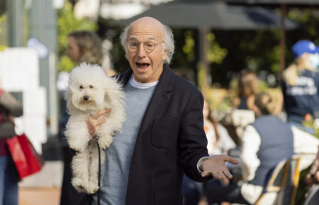 Curb Your Enthusiasm Season 11 Larry David