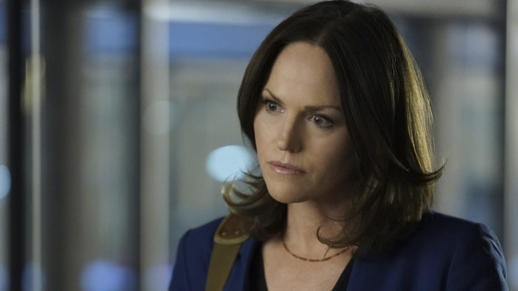 Jorja Fox, CSI: Vegas