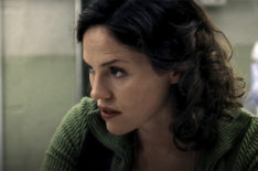 Jorja Fox, CSI