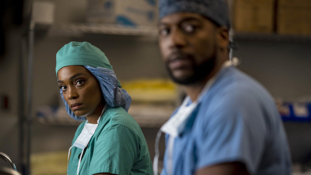 Frances Turner as Dr. Lyn Malvo, Jocko Sims as Dr. Floyd Reynolds in New Amsterdam