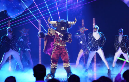 The Bull in The Masked Singer