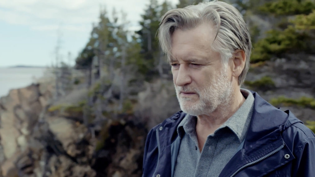 Bill Pullman as Harry Ambrose in The Sinner