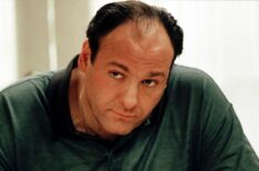 The Sopranos - Season 1 - James Gandolfini