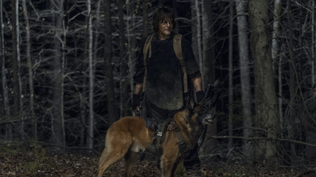 Norman Reedus as Daryl Dixon, Dog, The walking dead season 11 episode 4