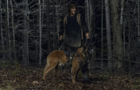 Norman Reedus as Daryl Dixon, Dog, The walking dead season 11 episode 4