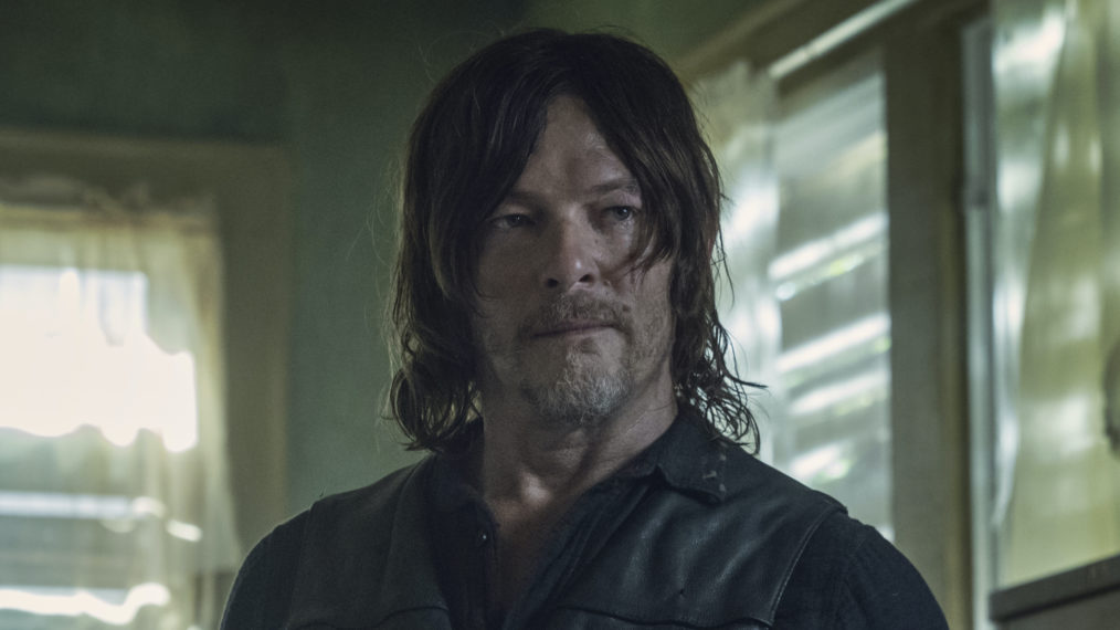 the walking dead, norman reedus as daryl dixon