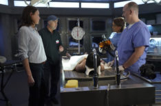 'CSI: Vegas' EP & Star Break Down Gil's Ailment & Tease What's Next