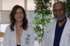 Sneak Peek at Kate Walsh's Return as Addison on 'Grey's Anatomy' (VIDEO)