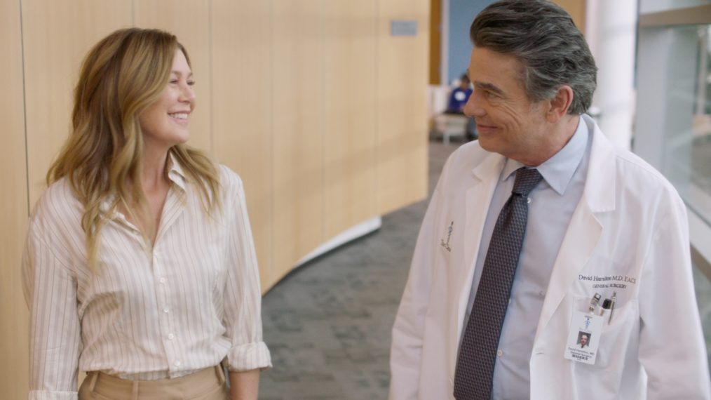 Grey's Anatomy ABC Ellen Pompeo and Peter Gallagher