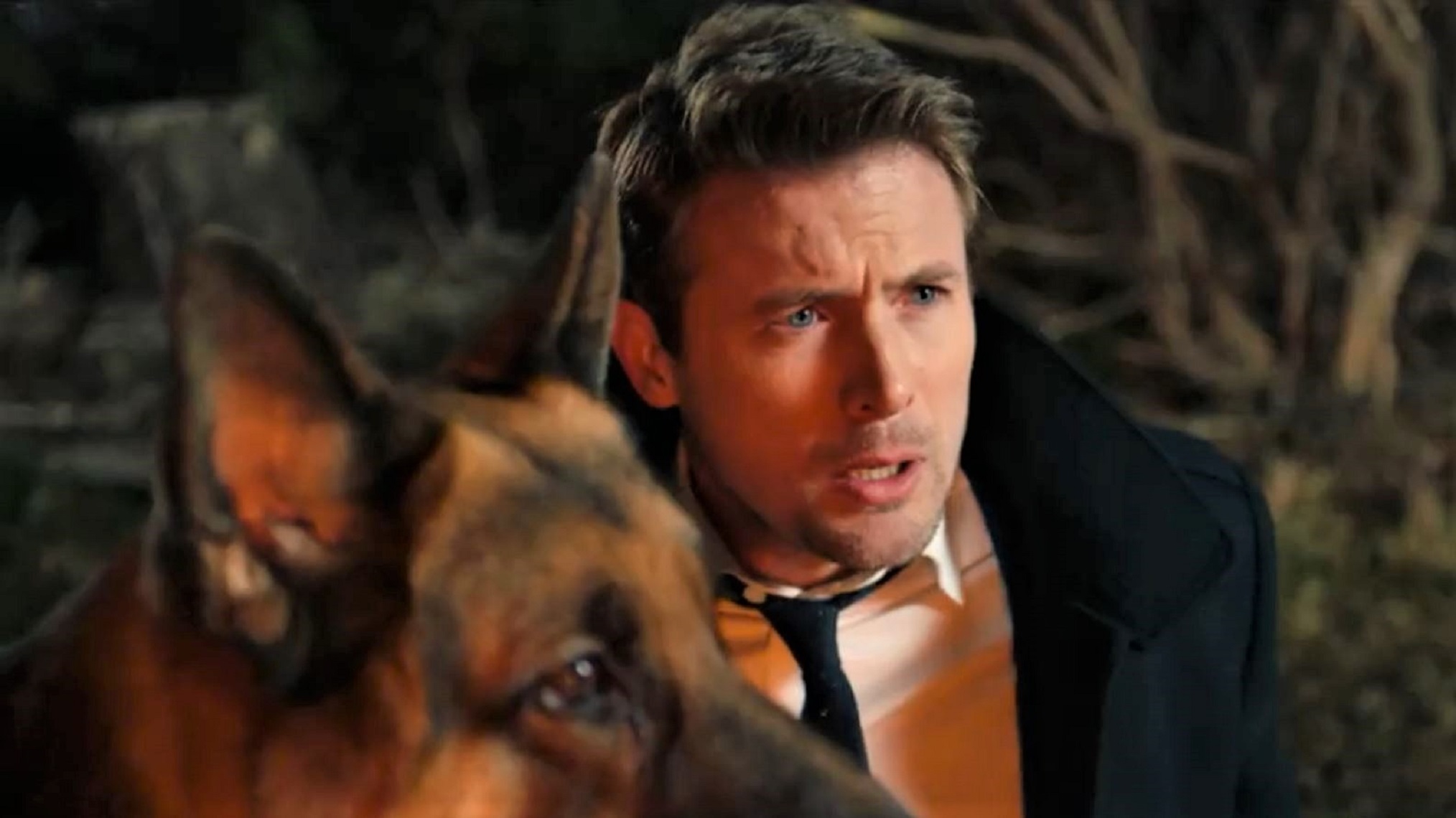 Hudson Et Rex Streaming Hudson & Rex' to Make U.S. Streaming Debut on UP Faith & Family (VIDEO)