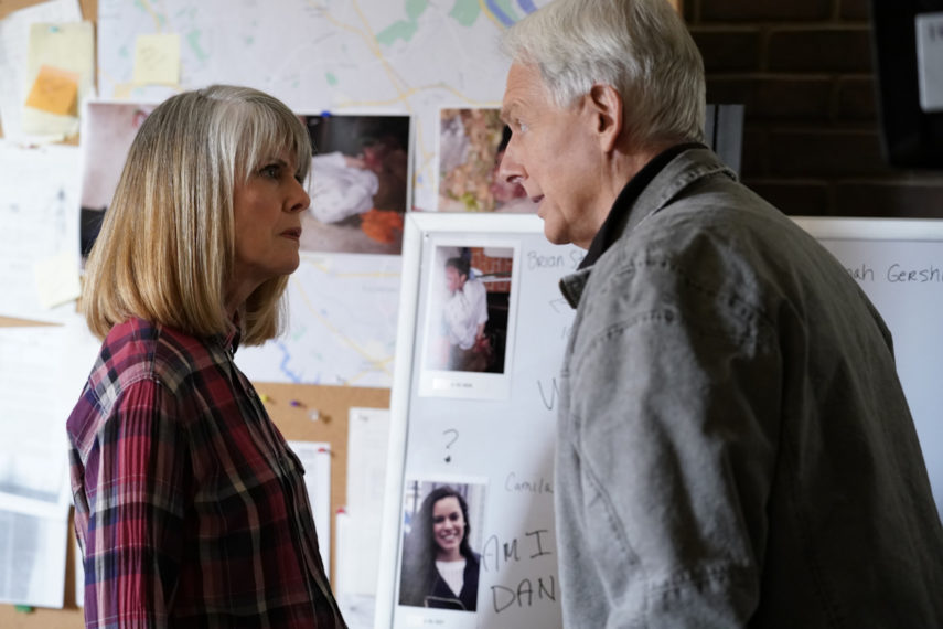 Pam Dawber and Mark Harmon in NCIS